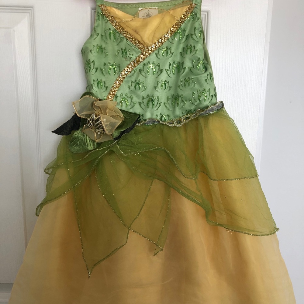 Girls princesses Tiana costume